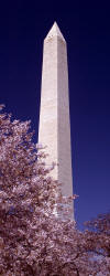 Washington Monument