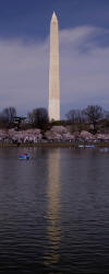 view from the Jefferson Memorial