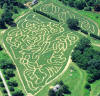 2006 Corn Maze