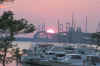 Bay Bridge Sunset